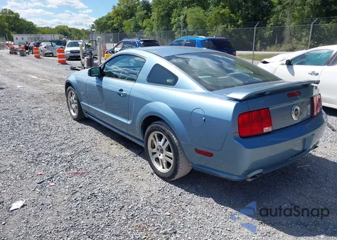 2005 Ford Mustang Gt Deluxe/Gt Premium из США, поврежденный, VIN 1ZVFT82H555223046